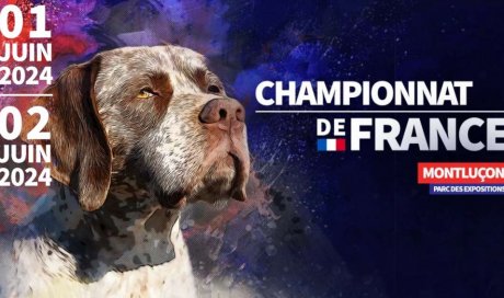 Championnat de France Canin à Monluçon à 30 min de L'Hôtel Le Saint-Joseph