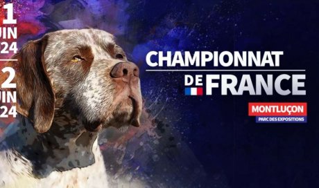 Championnat de France Canin à Monluçon à 30 min de L'Hôtel Le Saint-Joseph